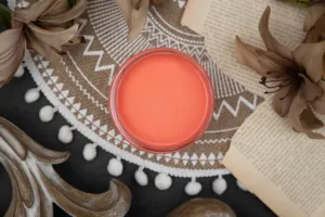 Dixie Belle Flamingo Chalk Paint