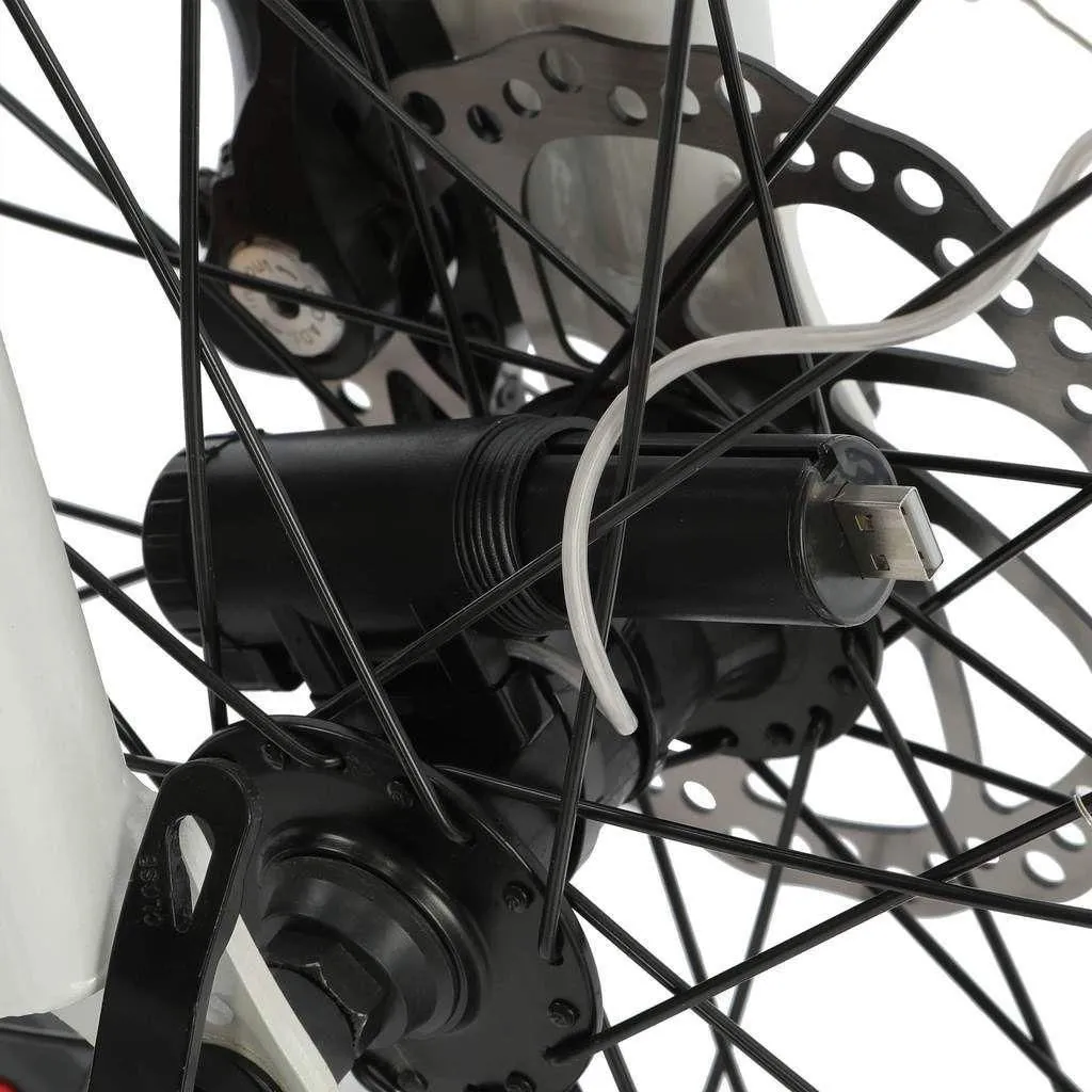 ECOTRIC Spoke Lights