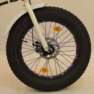 ECOTRIC Spoke Lights