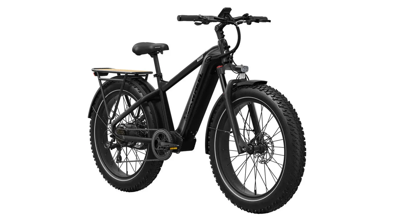 Mokwheel Basalt Fat Tire